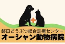 CC杯 協賛企業のご紹介